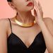 Wind Street Punk Internet Celebrity Collar Stainless Steel Trendy Exaggerated Opening Accessories_ipsvogv.com