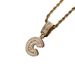 Hip Hop Rock Sugar Letter Pendant Zircon Personalized Accessory Niche Design Men's Necklace_ipsvogv.com