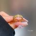 【 Real Gold 】 Couple Female Ins Trendy Fashion Luxury Adjustable Open Personality Coldness Style Finger Ring_ipsvogv.com