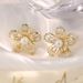 Fashion High Grade Natural Pearl Zircon Earrings For Women Flower Star Retro Light Luxury Earrings Ear Clips Silver Needle_ipsvogv.com