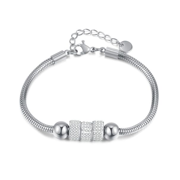 Women's Jewelry Irregular Light Luxury Bracelet Female Stainless Steel Snake Bone Chain Personality Simple All Match Titanium Steel Hand Jewelry_ipsvogv.com