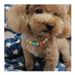 Pet pearl candy color dog collar cute teddy necklace jewelry 22720_ipsvogv.com