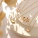 Wholesale Retro Titanium Steel Shell Earrings Necklace_ipsvogv.com