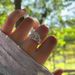 Camellia "Sparkling Micro Set Zircon Full Diamond Flower Ring With Clear Cold Feeling, Light Luxury, Exquisite And High_ipsvogv.com