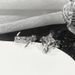Sacred Full Diamond Niche Contract Design Zircon Metal Wind Cross Trendy Cool Neutral Finger Ring For Women_ipsvogv.com