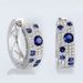 Cao Shi Korean Version Blue And White Diamond With Round Micro Inlaid Zircon Exquisite Ear Buckles, Internet Famous Live_ipsvogv.com