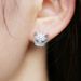 Cao Shi's New Personalized Versatile Full Diamond Zircon Leopard Head For Women's Temperament Street Shooting Earrings_ipsvogv.com