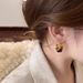 Women's Jewelry Maillard Style Zhang Resin Earrings Light Luxury Niche Design High End Versatile Earrings_ipsvogv.com