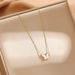 Japanese and Korean fashion butterfly titanium steel necklace with a minimalist temperament and a niche collarbone chain_ipsvogv.com