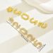 New light luxury style women's inlaid with personality 2025 snowflake niche design earrings_ipsvogv.com