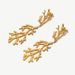 ocean coral stainless steel earrings starfish jellyfish fashion metal titanium steel earrings ear studs_ipsvogv.com