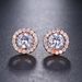 Unisex Fashion Small Disc Zircon Earrings Personality Earrings_ipsvogv.com
