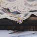 Phoenix Jewelry Luxury Heart Ribbon Necklace New Silver Gold-Plated Natural Tanzanite_ipsvogv.com