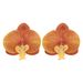 New rural simulation butterfly orchid earrings women, sweet and exaggerated vacation style flower necklace for women_ipsvogv.com