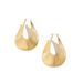 Exaggerated Geometric Curved Striped With Niche Design, Metallic Personality Earrings_ipsvogv.com