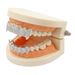 INShiphop Set Pointed Jewelry With Micro Gold Decoration Teeth_ipsvogv.com