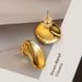 French niche design heavy polished round earrings female ins cold style earrings trend Korean version minimalist_ipsvogv.com
