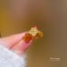 【 Real Gold Plating 】 Open Women's Lucky Grass Fashion Index Finger Ring with Net Red Same Simple and Cool Style_ipsvogv.com
