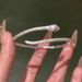 Cold And Aloof Temperament, Fashionable Snake With Personalized Design Sense, Popular On The Internet, New High-end_ipsvogv.com