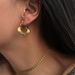 Fashionable Niche INS Retro Titanium Steel Pleated Seaweed Design Earrings_ipsvogv.com