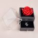 Women’s Jewelry Set Fashion hot selling rose necklace gift box Valentine's Day gift jewelry box acrylic drawer flower box_ipsvogv.com