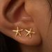 Hot Selling Fashion Simple Brass Real Gold Electroplated Small Starfish Earrings Exquisite And Lightweight Ladies Earrings_ipsvogv.com